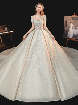 Tulle Short Sleeve Backless Beading Sequins Champagne Wedding Dress